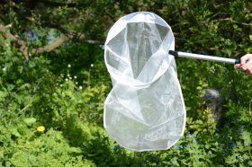 Insect Net