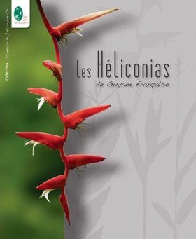 Les Héliconias de Guyane Française