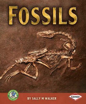 Fossils