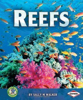 Reefs