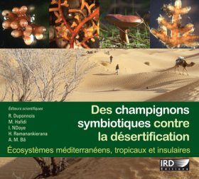 Des Champignons Symbiotiques Contre la Désertification