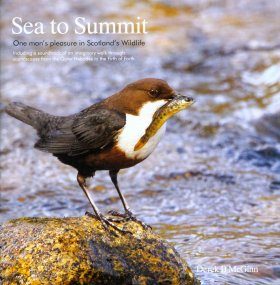 Sea to Summit