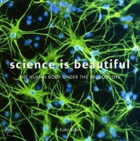 Science is Beautiful