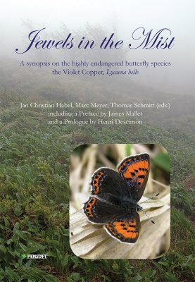 Jewels in the Mist