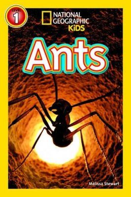 Ants