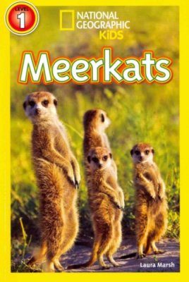 Meerkats