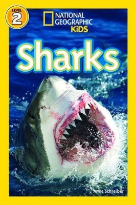 Sharks!
