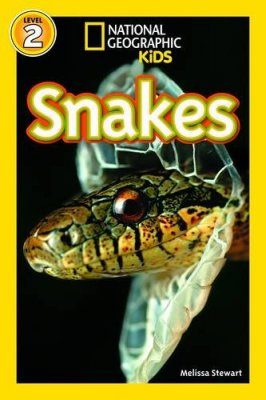 Snakes!
