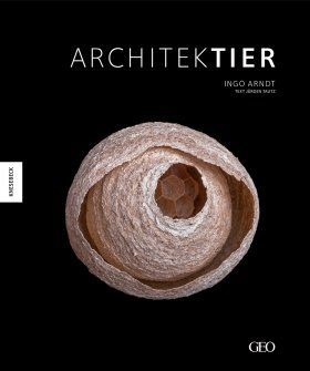 Architektier: Baumeister der Natur
