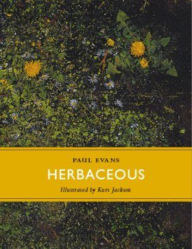 Herbaceous