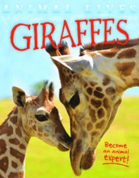 Giraffes