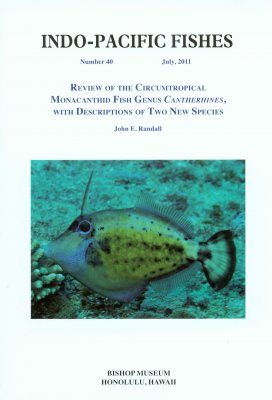 Review of the Circumtropical Monacanthid Fish Genus Cantherhines, with Descriptions of Two New Species