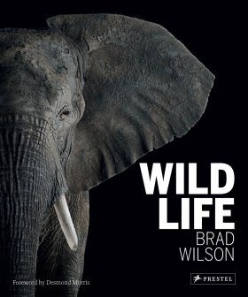 Wild Life