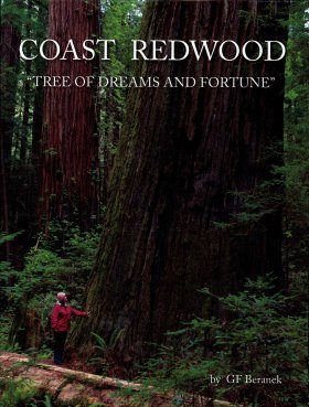 Coast Redwood