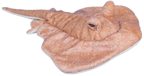 Stingray Soft Toy