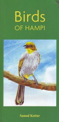 Birds of Hampi