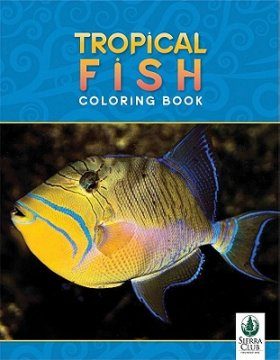 Tropical Fish Coloring Book