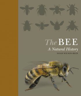 The Bee