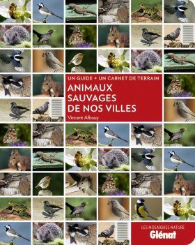 Animaux Sauvages de Nos Villes