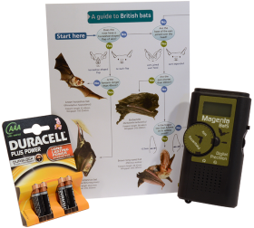 Beginners Bat Detecting Kit