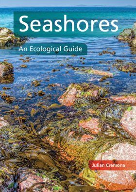 Seashores: An Ecological Guide