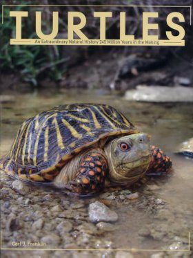Turtles: An Extraordinary Natural History 245 Million Years in the Making