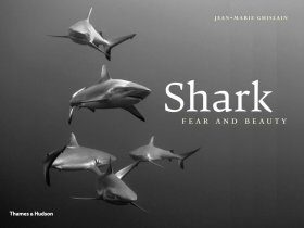 Shark: Fear & Beauty