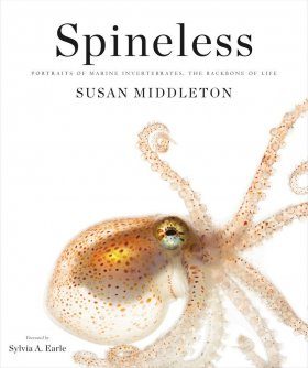Spineless: Portraits of Marine Invertebrates, the Backbone of Life
