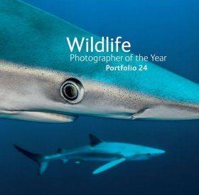 Wildlife Photographer of the Year, Portfolio 24