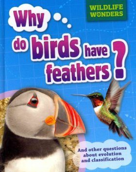 Why Do Birds Have Feathers?