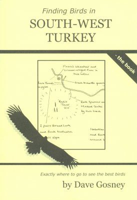 Finding Birds in South-West Turkey