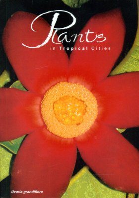 Plants in Tropical Cities