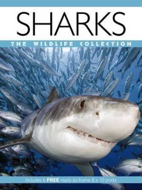 Sharks