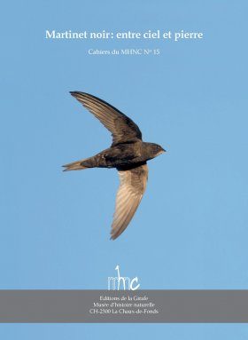 Martinet Noir