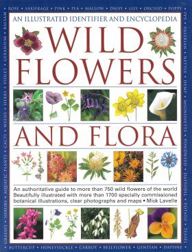 Wild Flowers and Flora