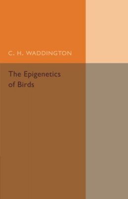 The Epigenetics of Birds