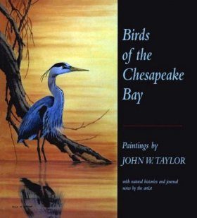 Birds of the Chesapeake Bay