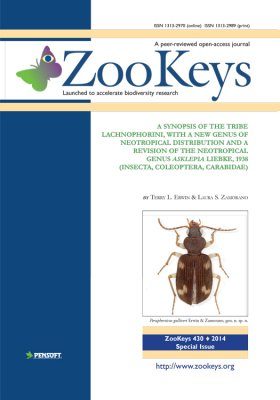 ZooKeys 430: A Synopsis of the Tribe Lachnophorini, With a New Genus of Neotropical Distribution and a Revision of the Neotropical Genus Asklepia Liebke, 1938 (Insecta, Coleoptera, Carabidae)