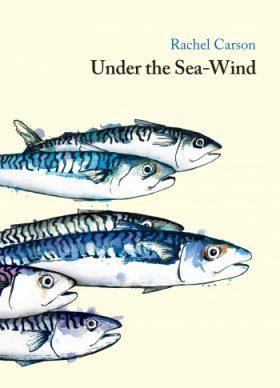 Under the Sea Wind
