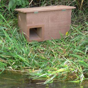 Kingslake Duck Box