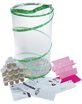 Butterfly Garden School Kit