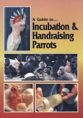A Guide to Incubation and Handraising Parrots