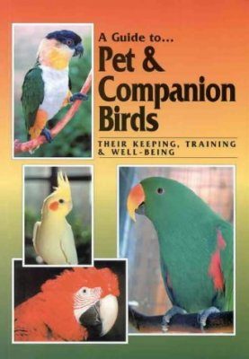 A Guide to Pet and Companion Birds