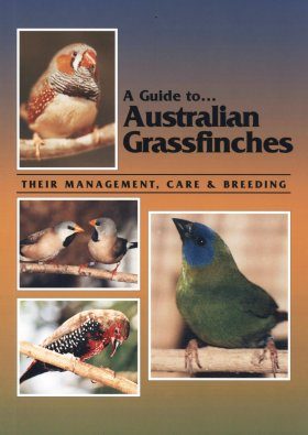 A Guide to Australian Grassfinches