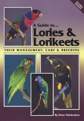 A Guide to Lories and Lorikeets