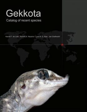 Gekkota: Catalog of Recent Species