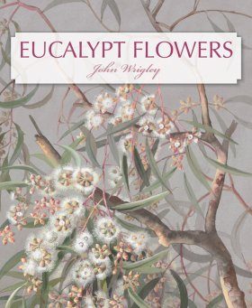 Eucalypt Flowers