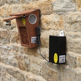 Bird Feeder with Camera
