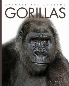 Gorillas