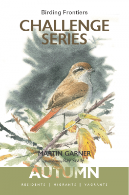 Challenge Series: Autumn